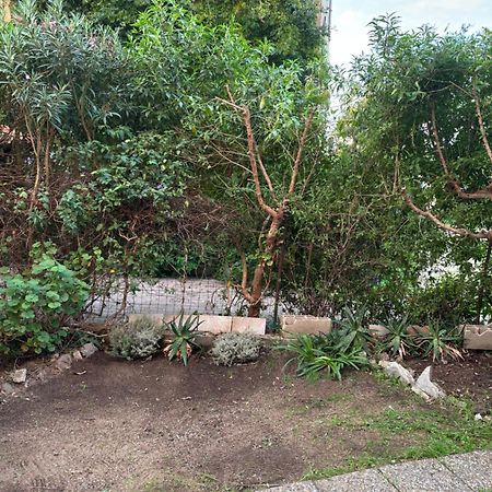 Appartamento Con Giardino A 50 M Dal Mare LʼÎle-Rousse المظهر الخارجي الصورة