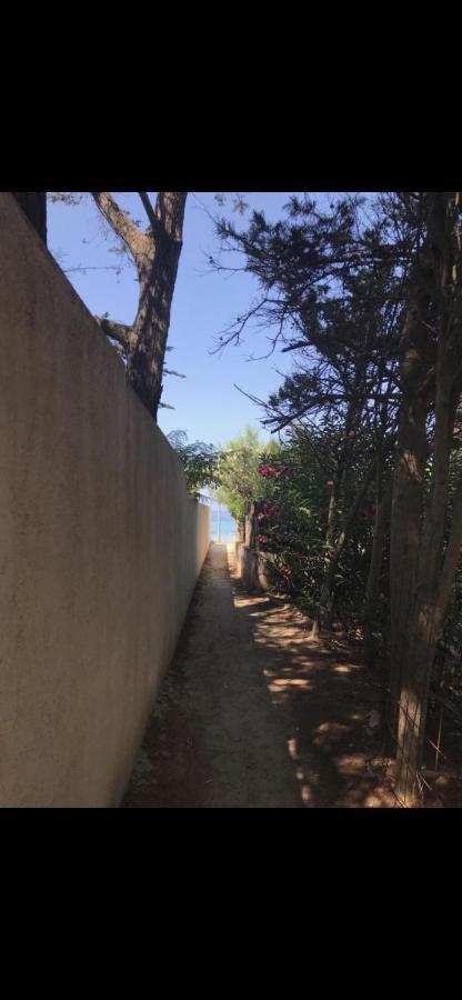 Appartamento Con Giardino A 50 M Dal Mare LʼÎle-Rousse المظهر الخارجي الصورة