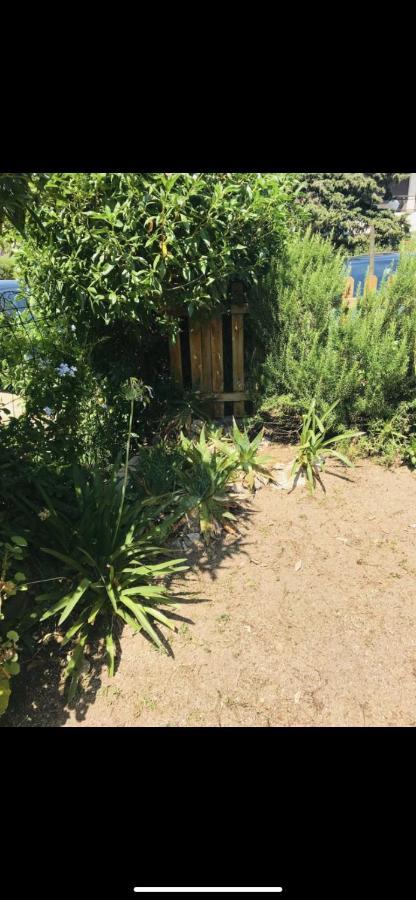 Appartamento Con Giardino A 50 M Dal Mare LʼÎle-Rousse المظهر الخارجي الصورة