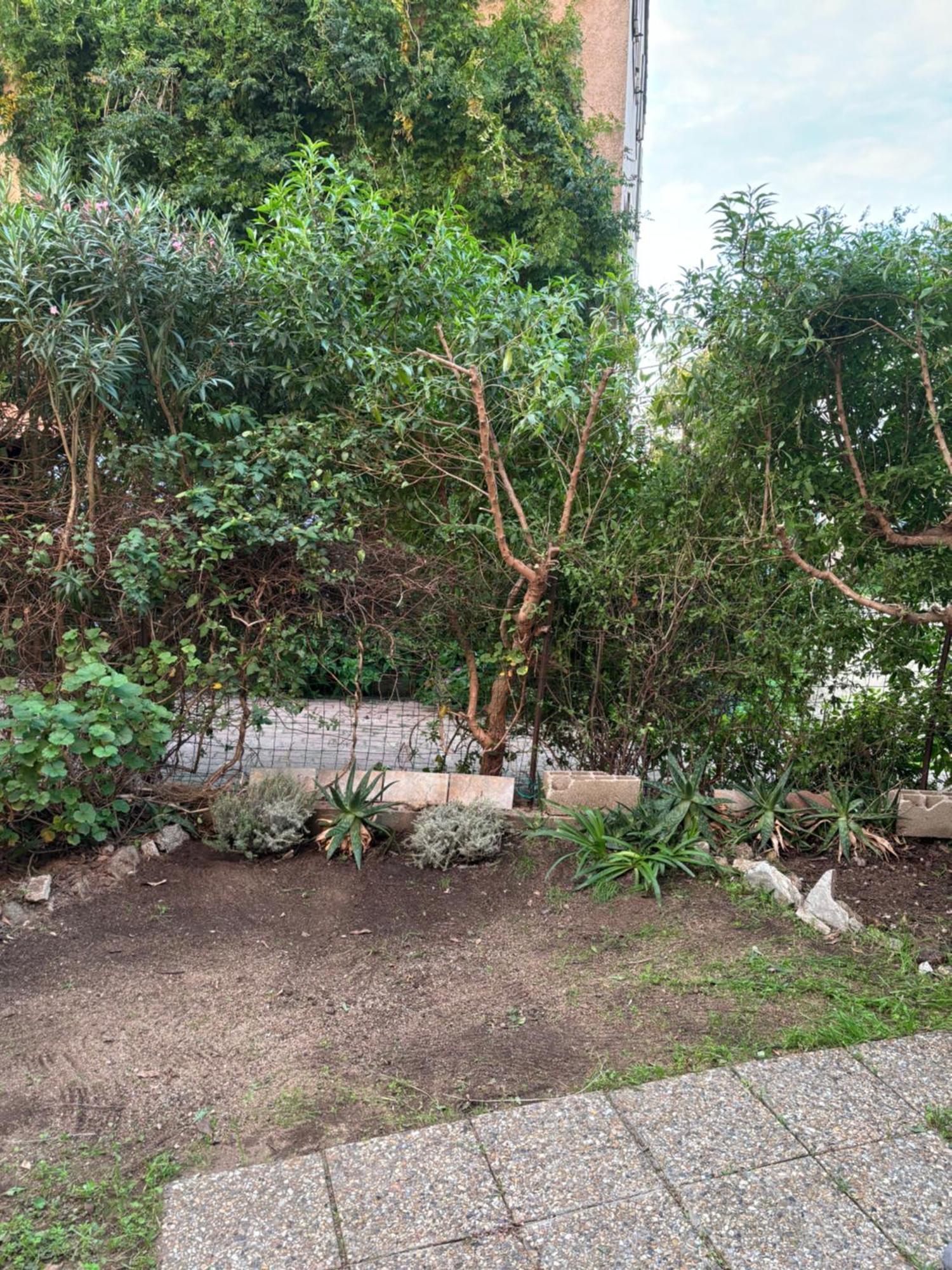 Appartamento Con Giardino A 50 M Dal Mare LʼÎle-Rousse المظهر الخارجي الصورة